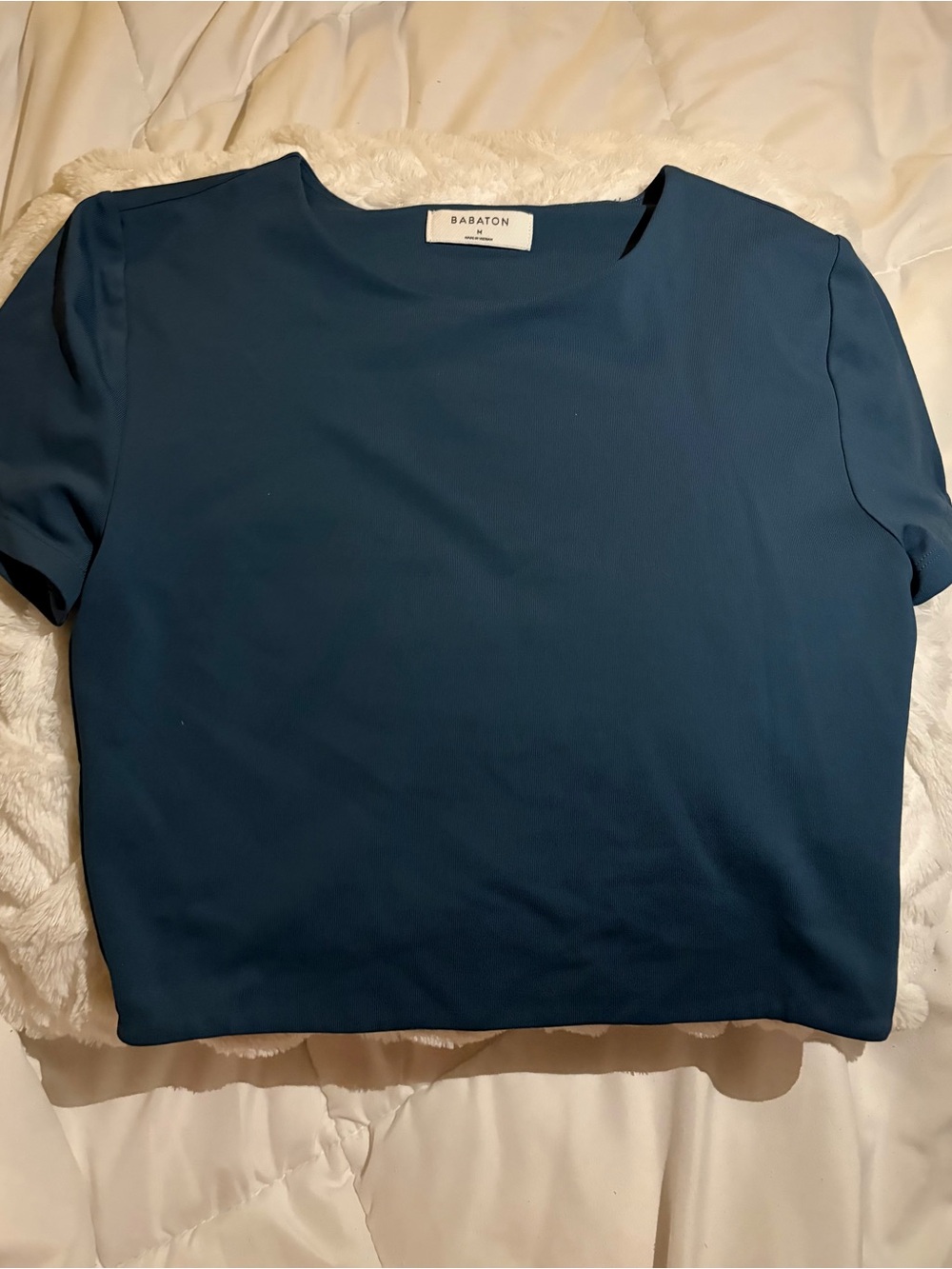 Aritzia Babaton Contour Crew T-Shirt